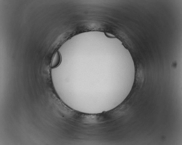 X0000116640473200912291559