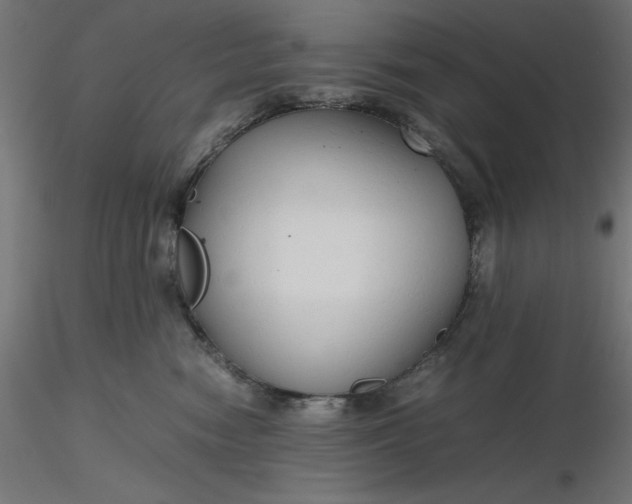 X0000116640474200912291559