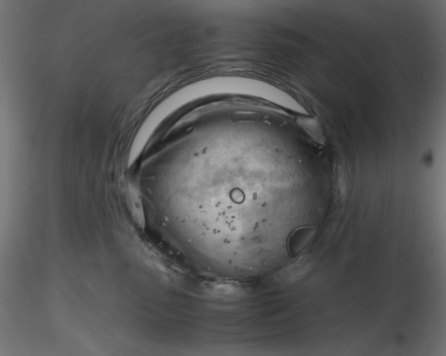 X0000116640475200912291559