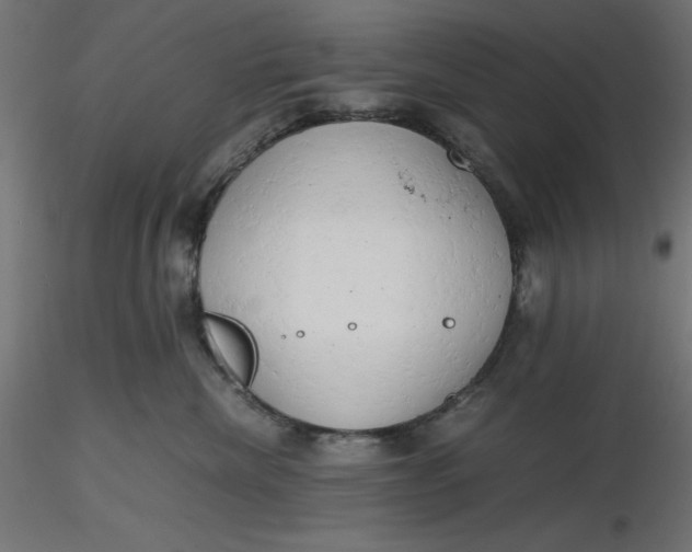 X0000116640476200912291559