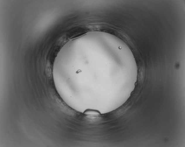 X0000116640477200912291559