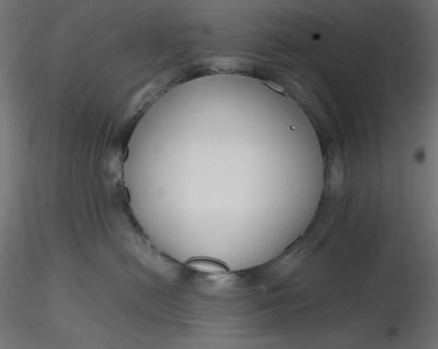 X0000116640478200912291559