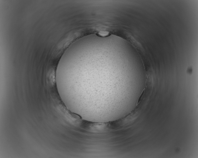 X0000116640479200912291559