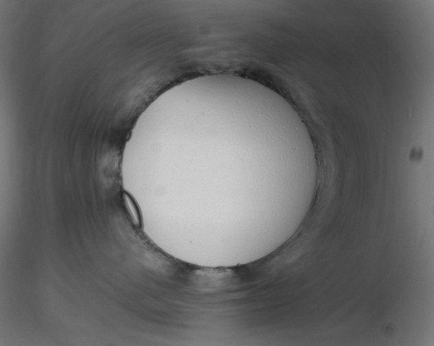 X0000116640480200912291559