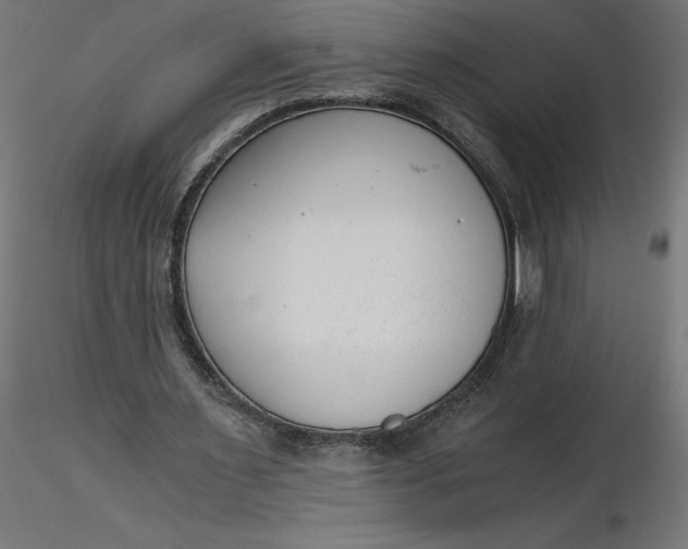 X0000116640483200912291558