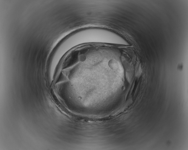 X0000116640484200912291558