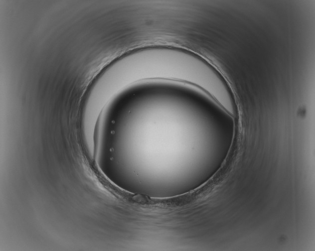 X0000116640485200912291558