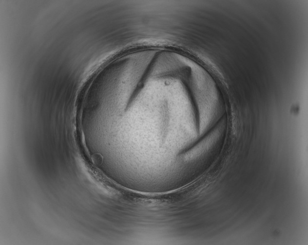 X0000116640486200912291558