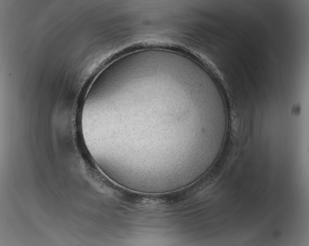 X0000116640487200912291558