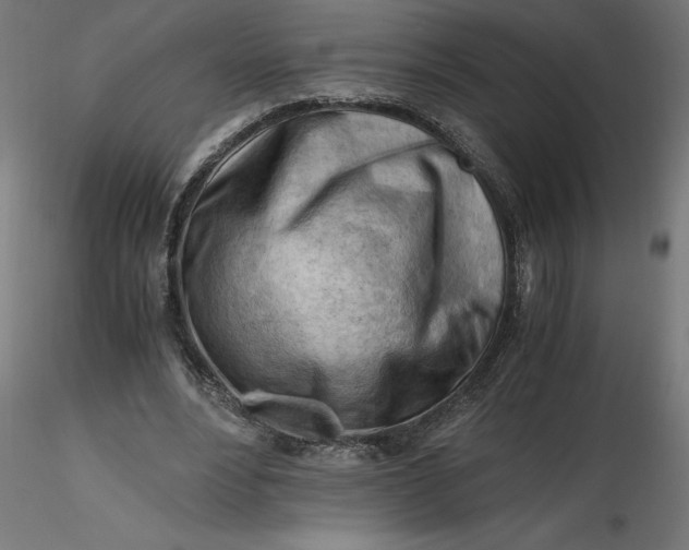 X0000116640488200912291558