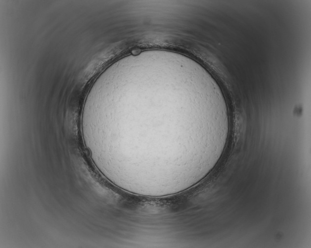 X0000116640489200912291558