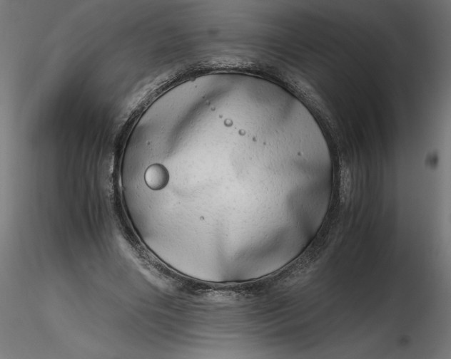 X0000116640490200912291558