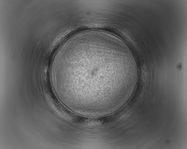 X0000116640491200912291558