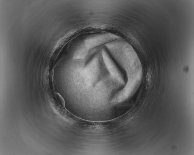 X0000116640492200912291558