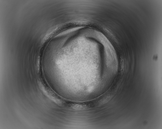 X0000116640494200912291558