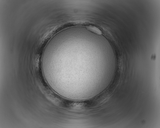 X0000116640495200912291558