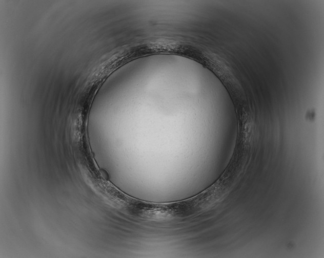 X0000116640498200912291558