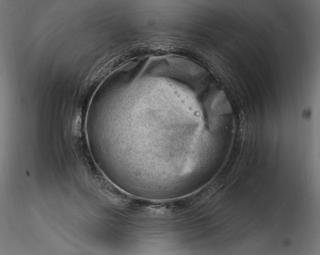 X0000116640502200912291558