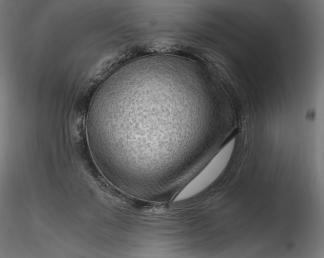 X0000116640503200912291558