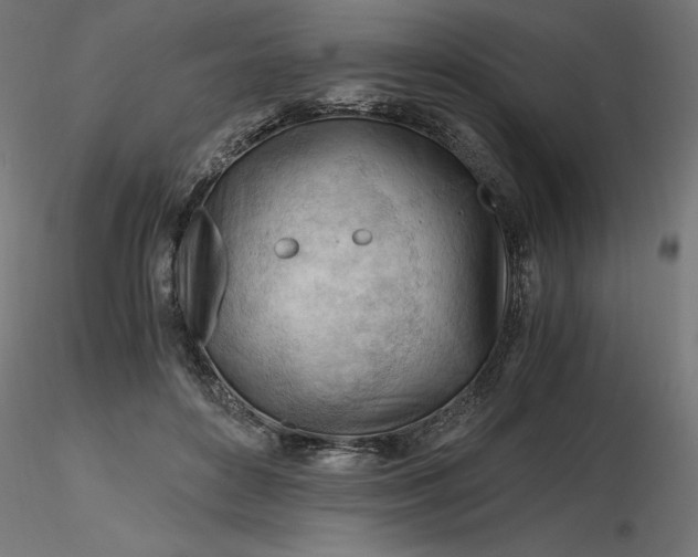 X0000116640504200912291558