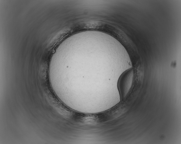 X0000116640505200912291558