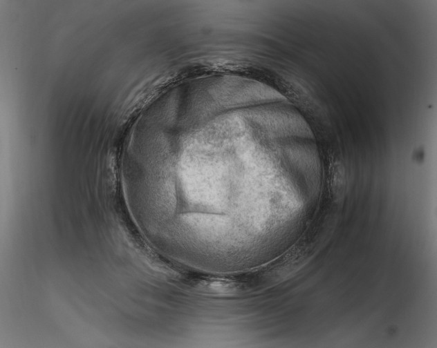 X0000116640506200912291558