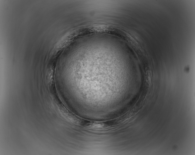 X0000116640507200912291558