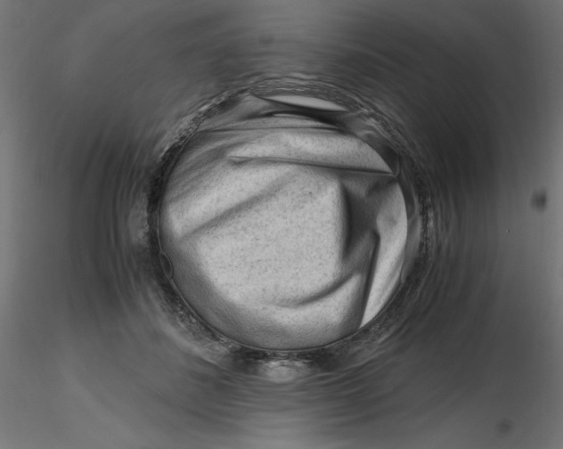 X0000116640508200912291558