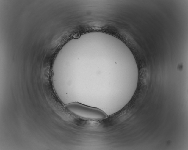 X0000116640509200912291558