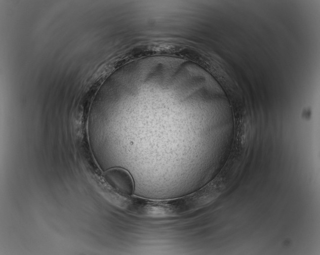 X0000116640510200912291558