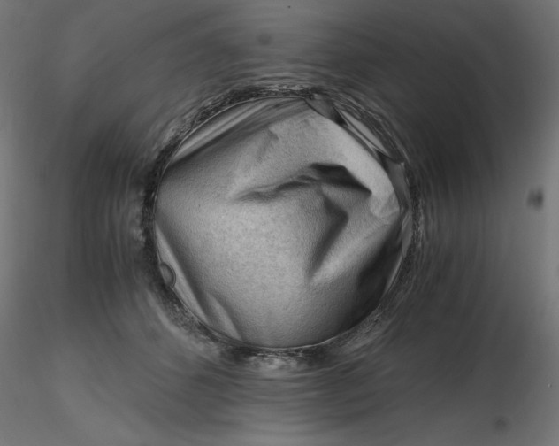 X0000116640512200912291558