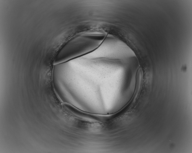 X0000116640513200912291558