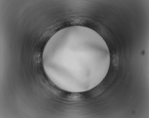 X0000116640514200912291558