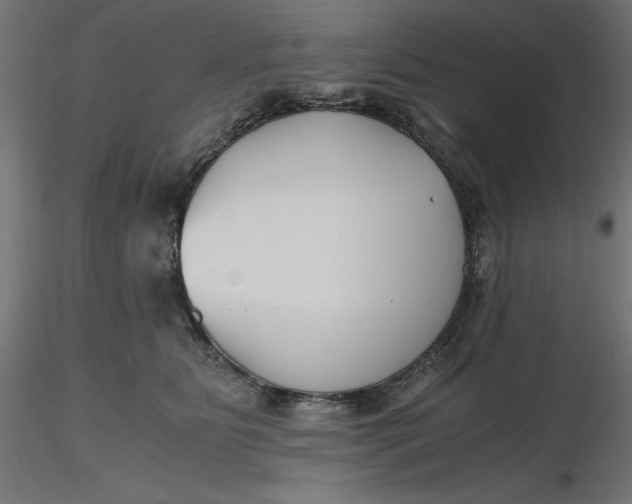 X0000116640515200912291558