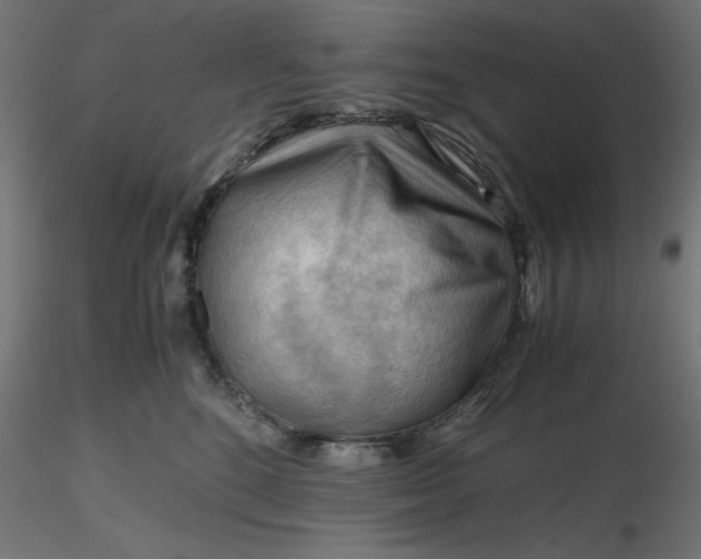 X0000116640520200912291558