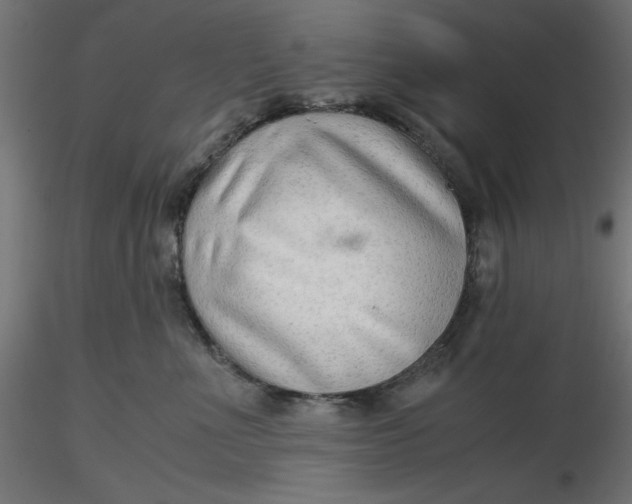 X0000116640523200912291558