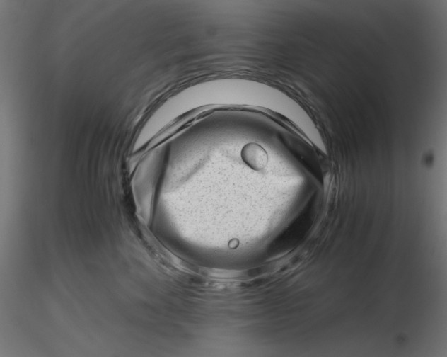 X0000116640524200912291558