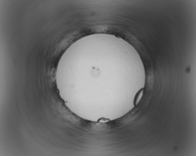 X0000116640525200912291558