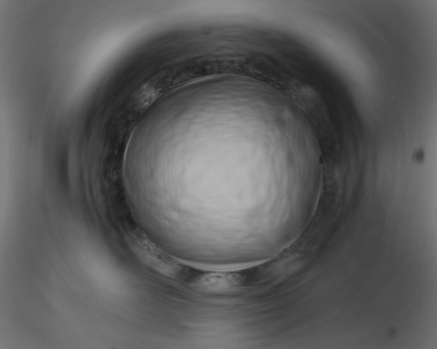 X0000116640526200912291558