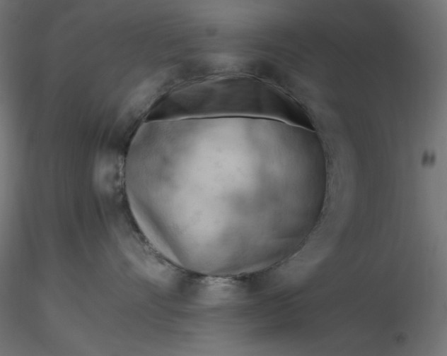 X0000116640528200912291558