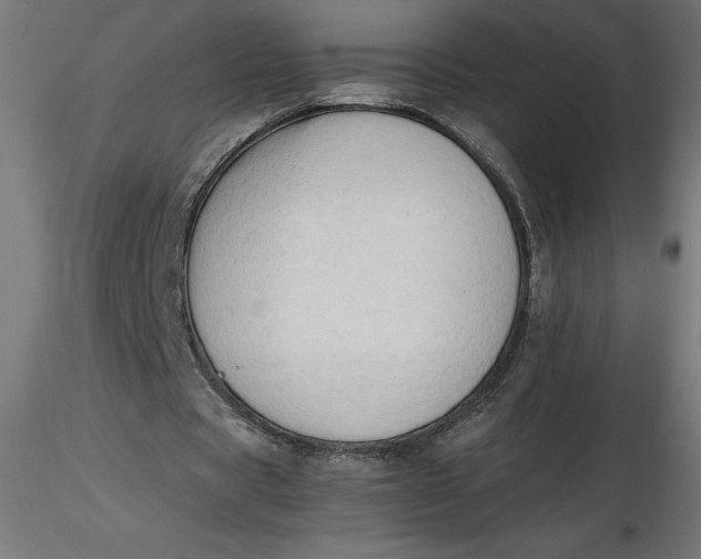 X0000116640529200912291557