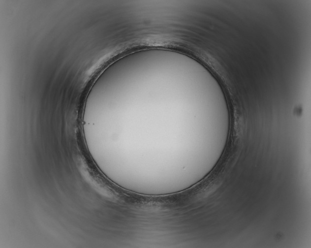 X0000116640530200912291557