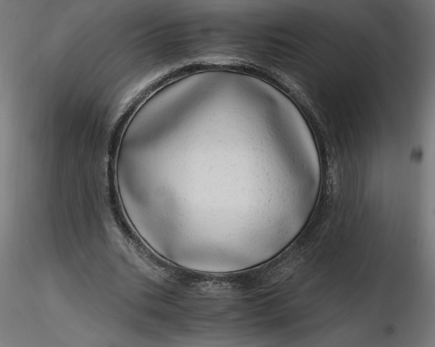 X0000116640535200912291557