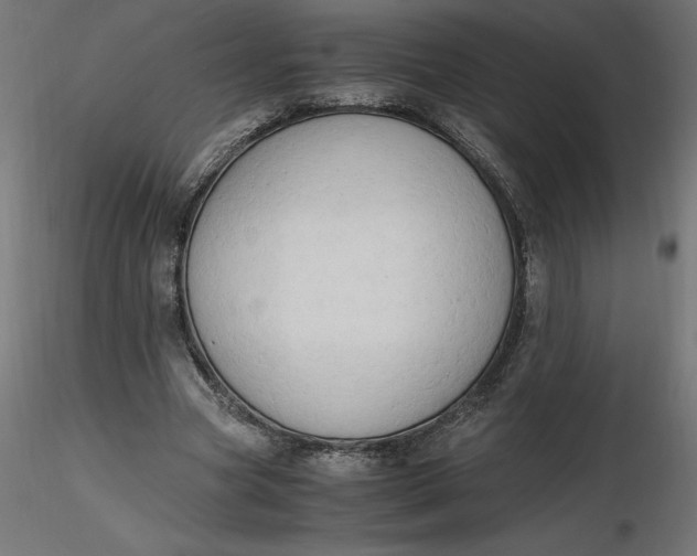 X0000116640537200912291557