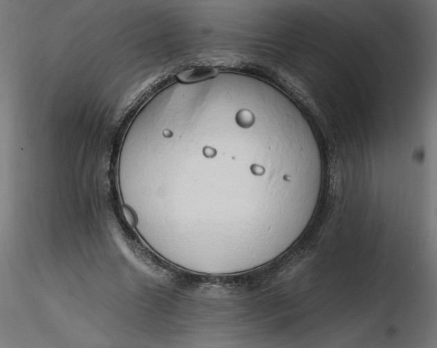 X0000116640538200912291557