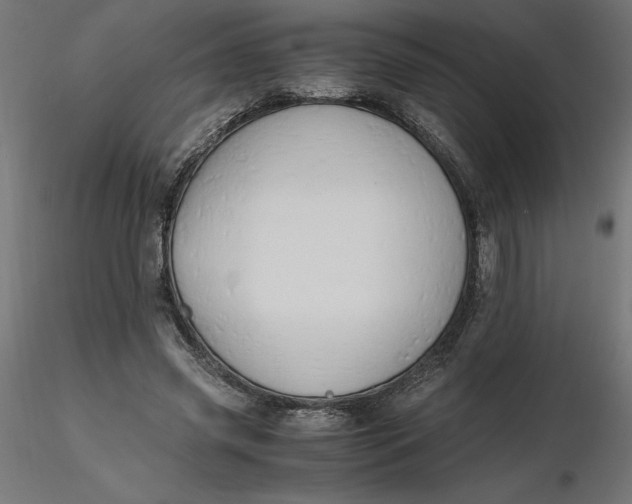 X0000116640541200912291557