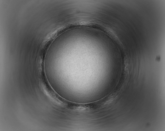 X0000116640542200912291557