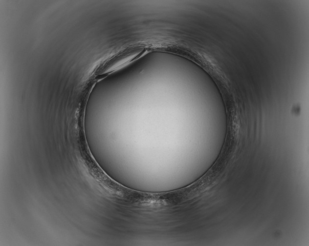 X0000116640543200912291557