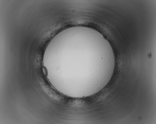 X0000116640546200912291557