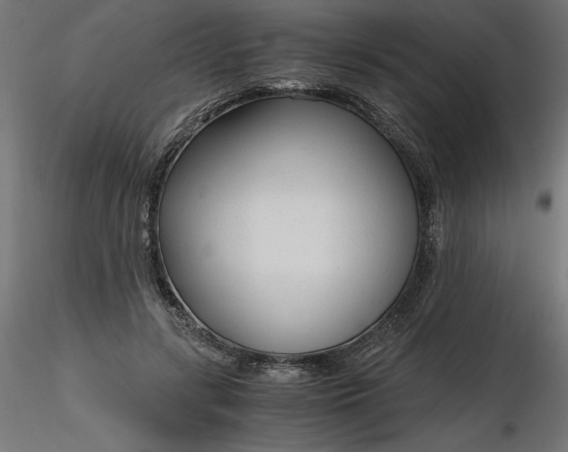 X0000116640547200912291557